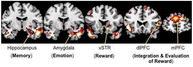 Screen Shot 2024-09-26 at 12.51.57 PM